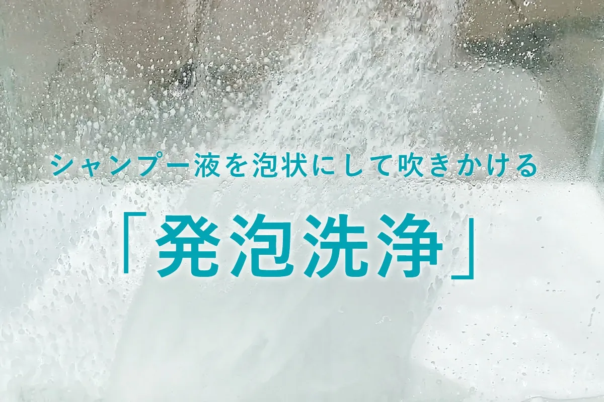 シャワニー・カラー