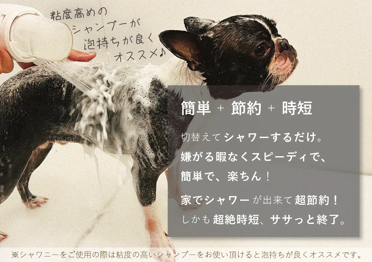 シャワニー・カラー