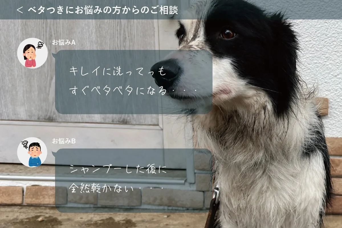 【アジル】オイリーコントロールシャンプー