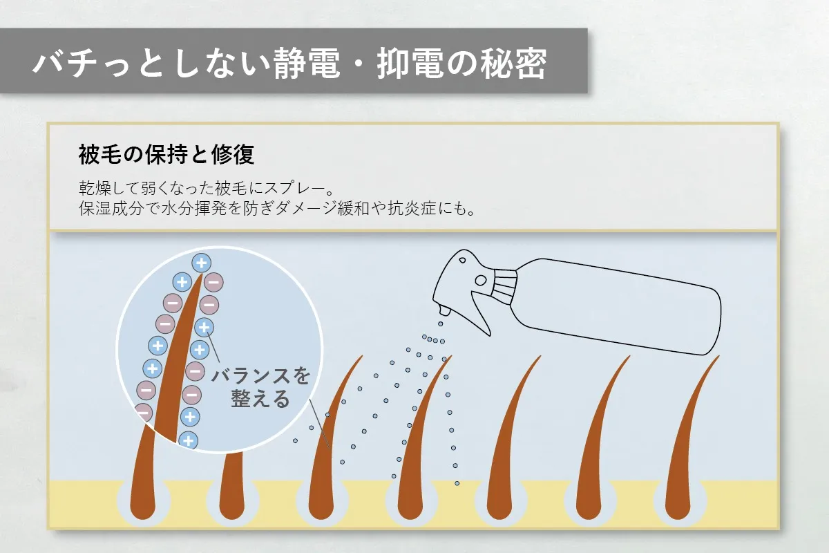 【アジル】トリートメントステア