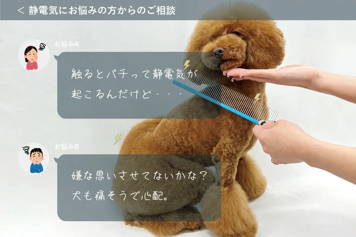 【アジル】トリートメントステア
