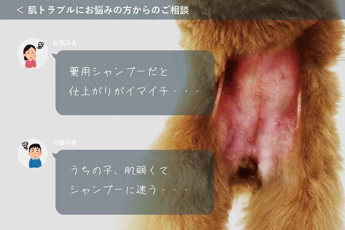 【アジル】ソワニエマイルドシャンプー