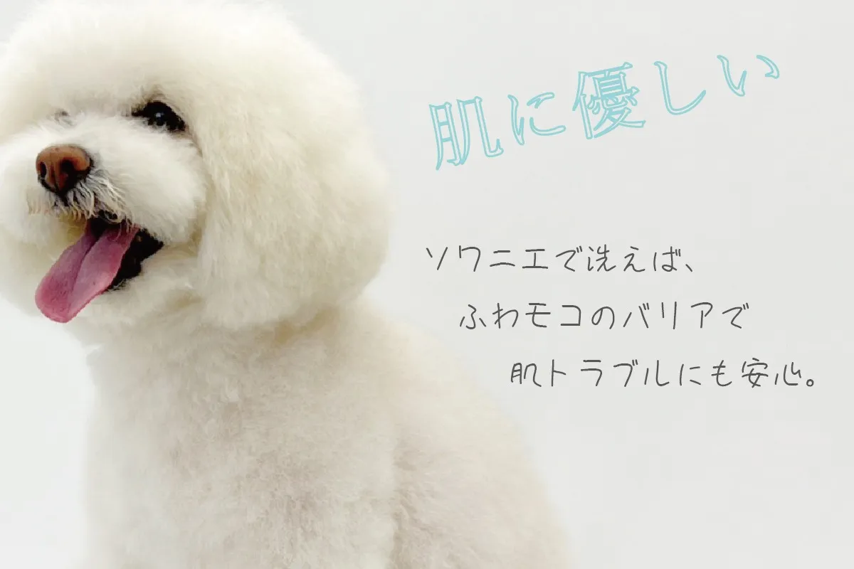 【アジル】ソワニエマイルドシャンプー