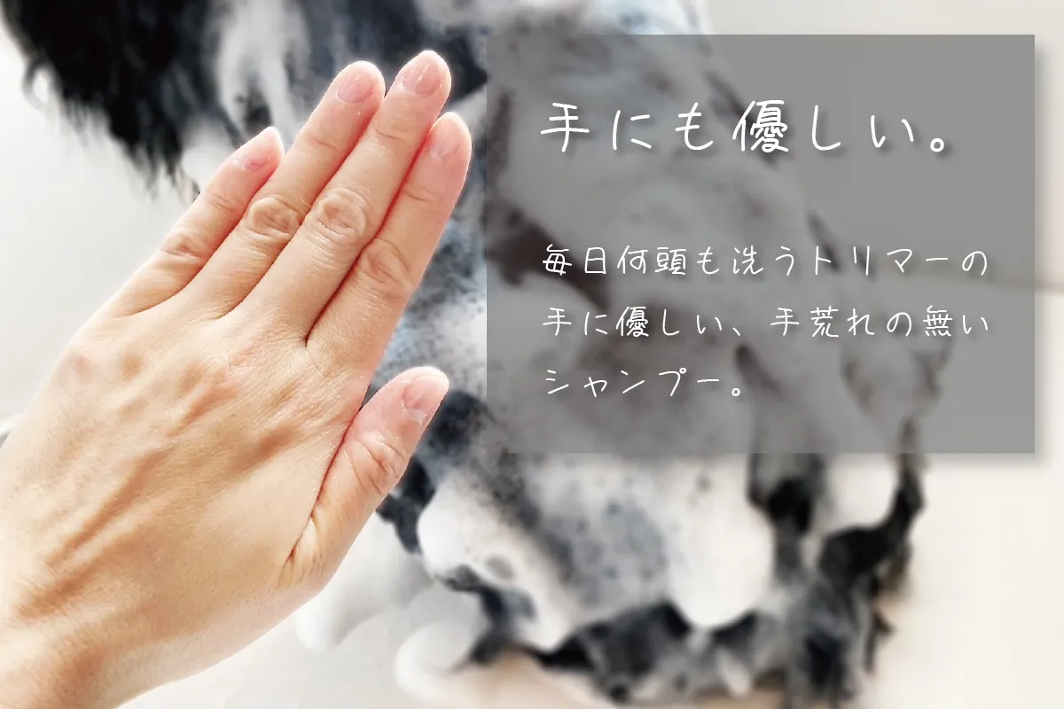【アジル】ソワニエマイルドシャンプー