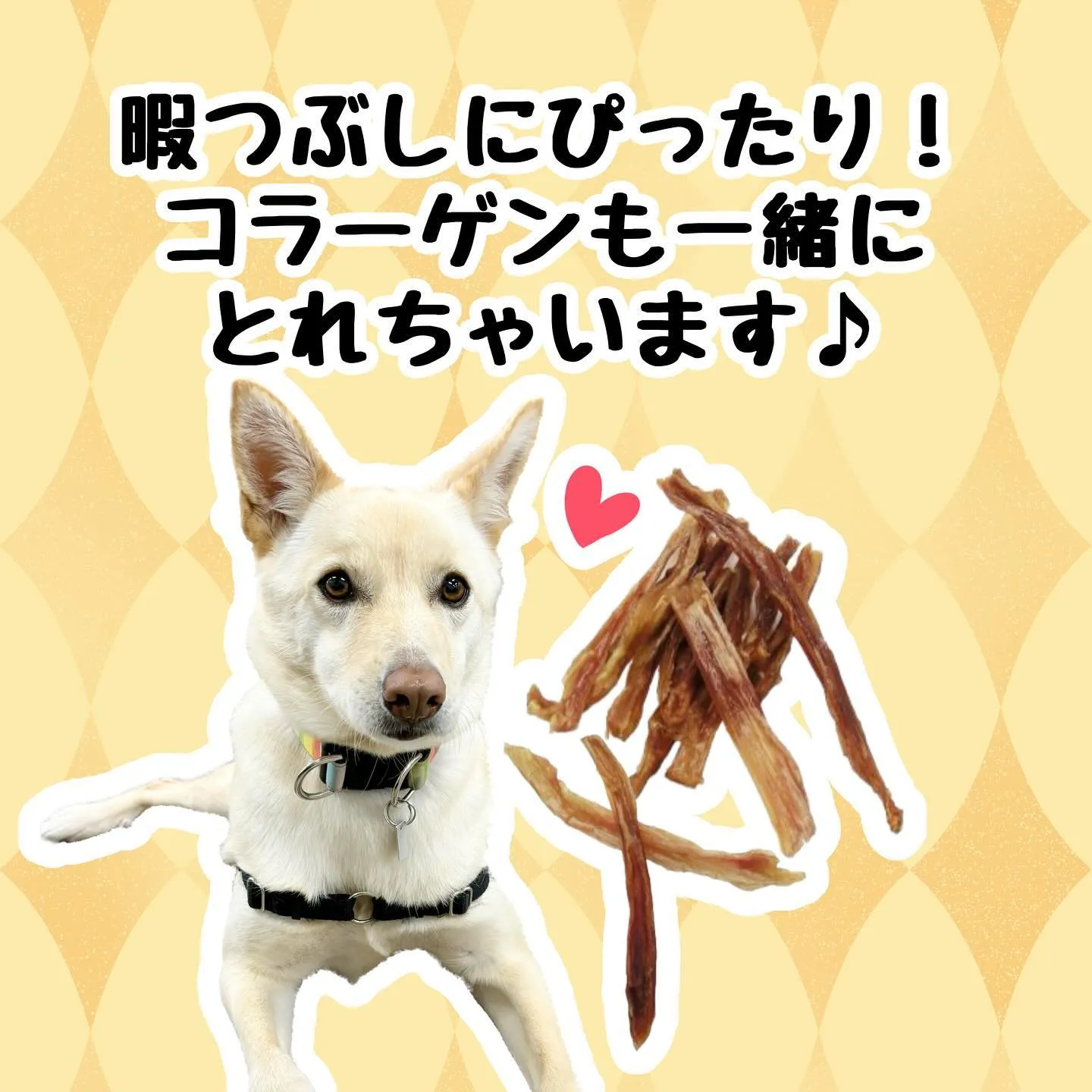 わんこのおやつ🐶