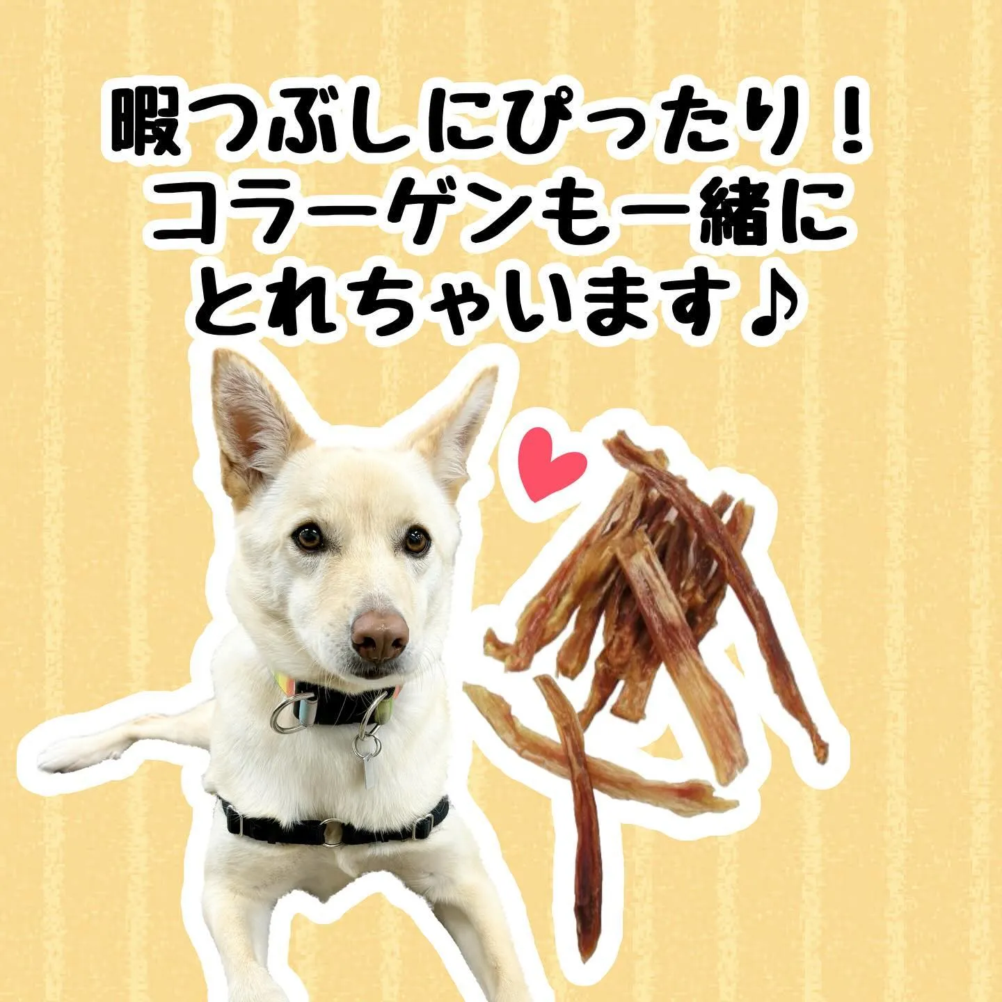 わんこのおやつ🐶