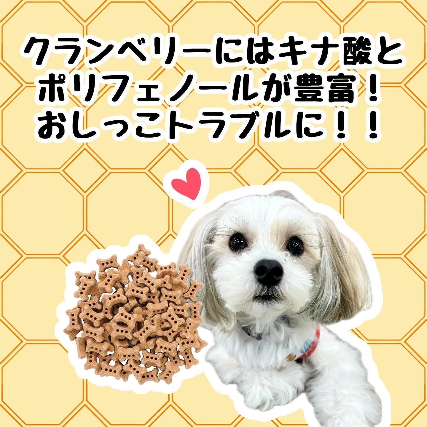 わんこのおやつ🐶