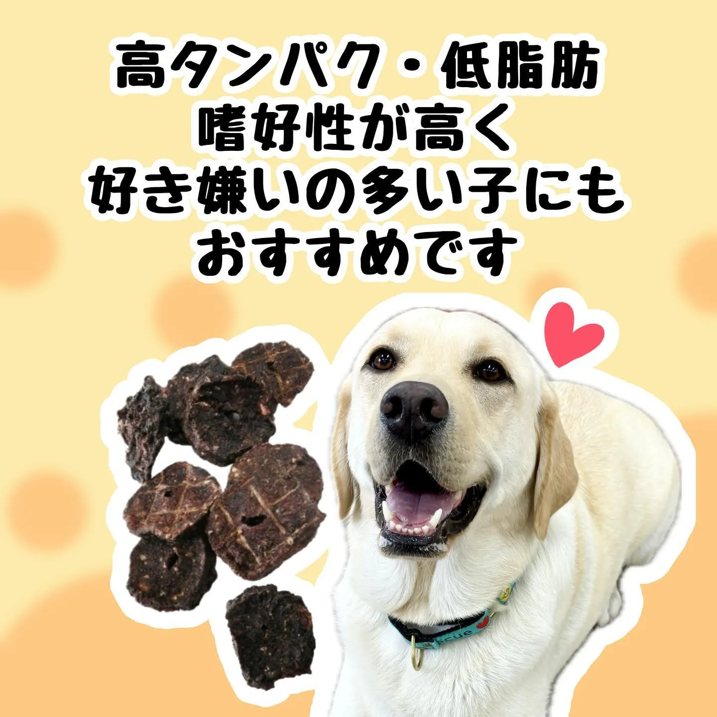 わんこのおやつ🐾