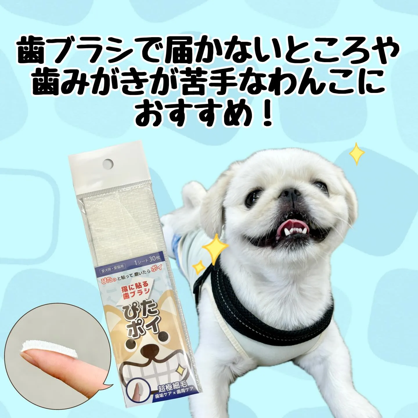 歯磨きが苦手なわんこに🐶