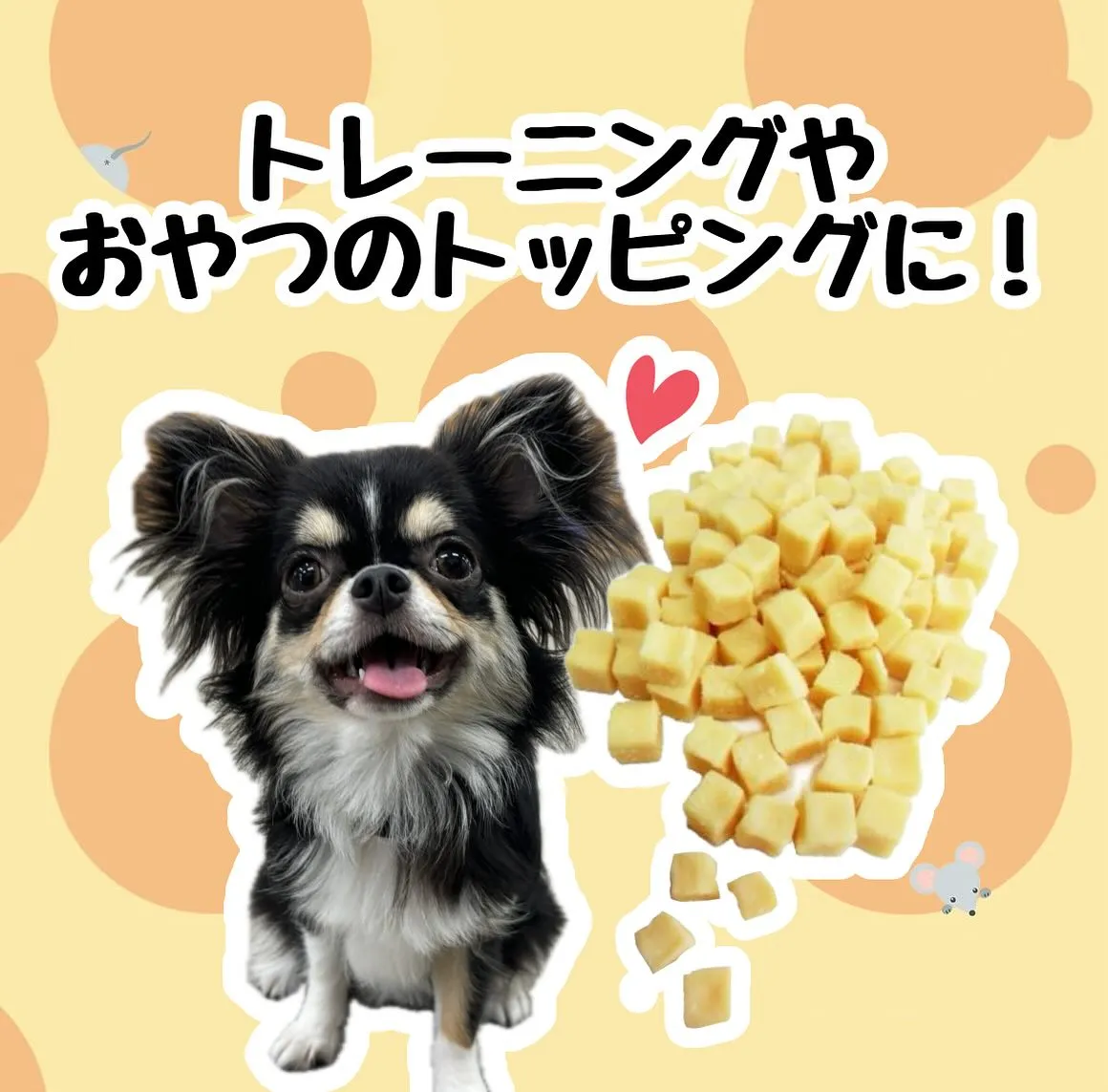 わんこのおやつ🐶