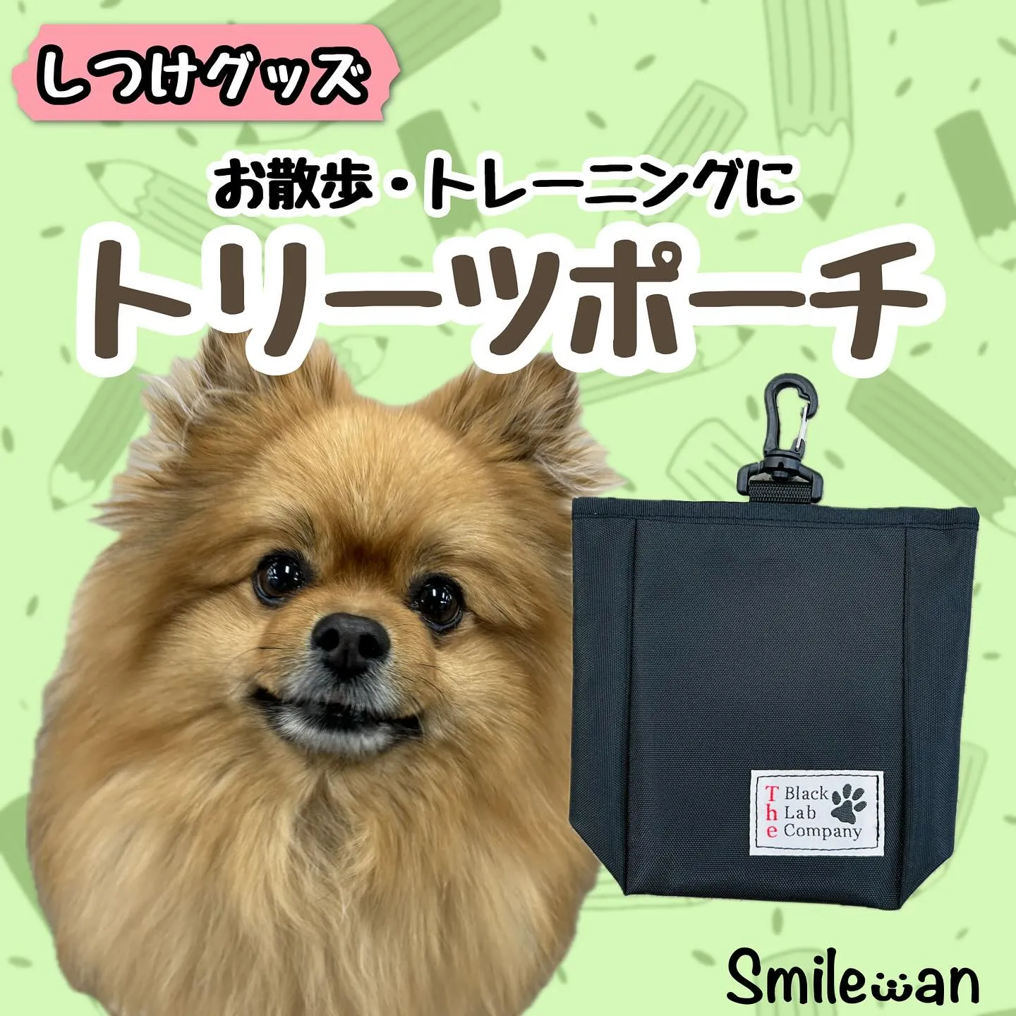 トレーニンググッズ🐾