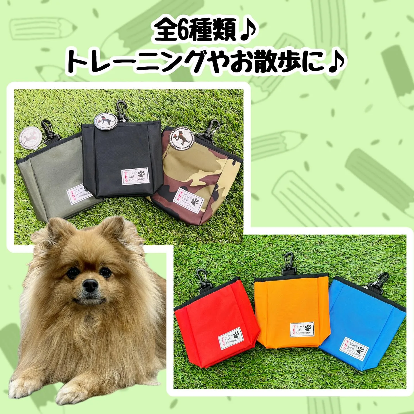 トレーニンググッズ🐾