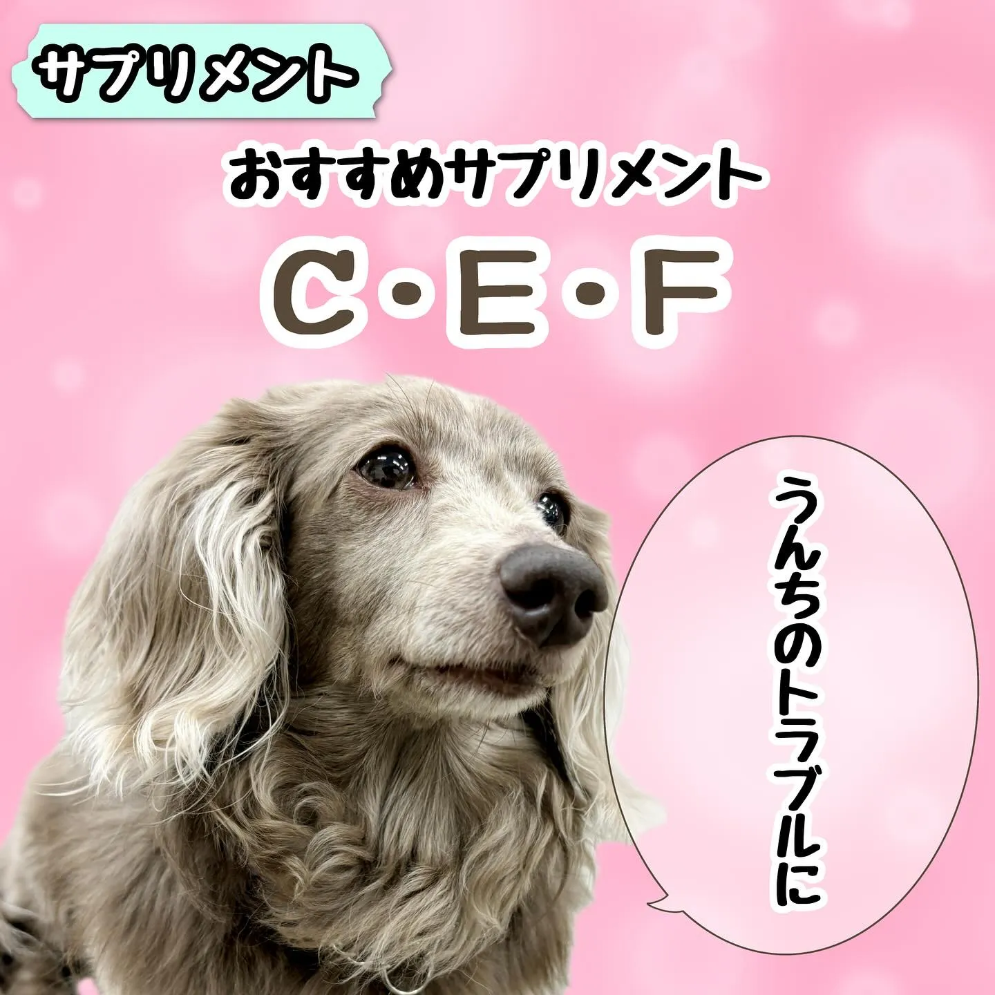 【CEF】