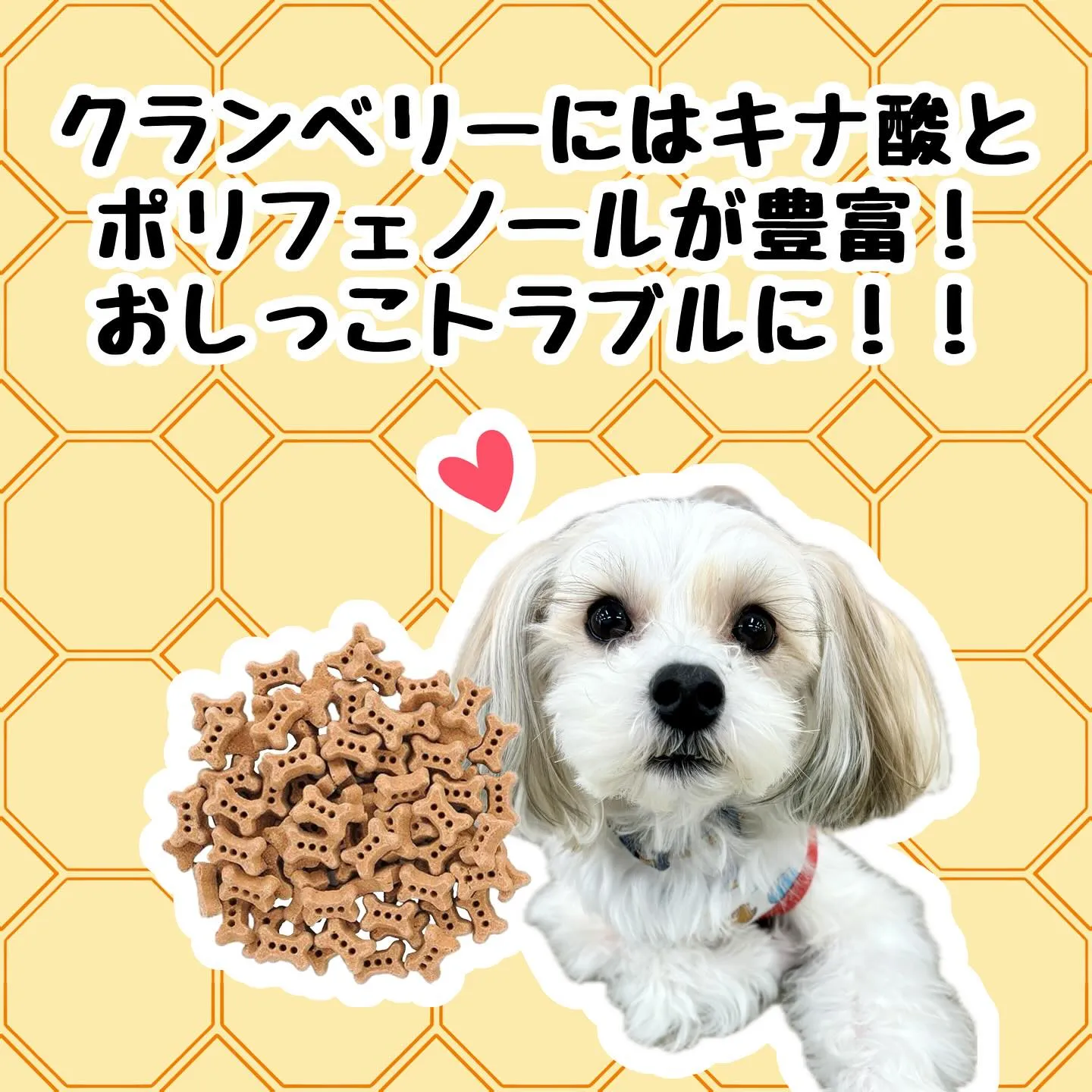 わんこのおやつ🐶