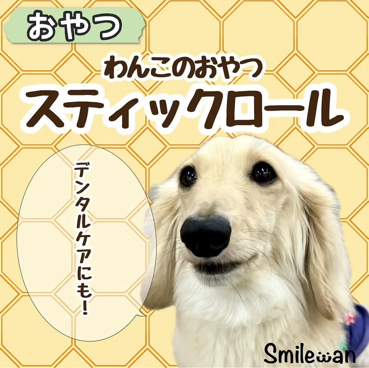 わんこのおやつ🐶