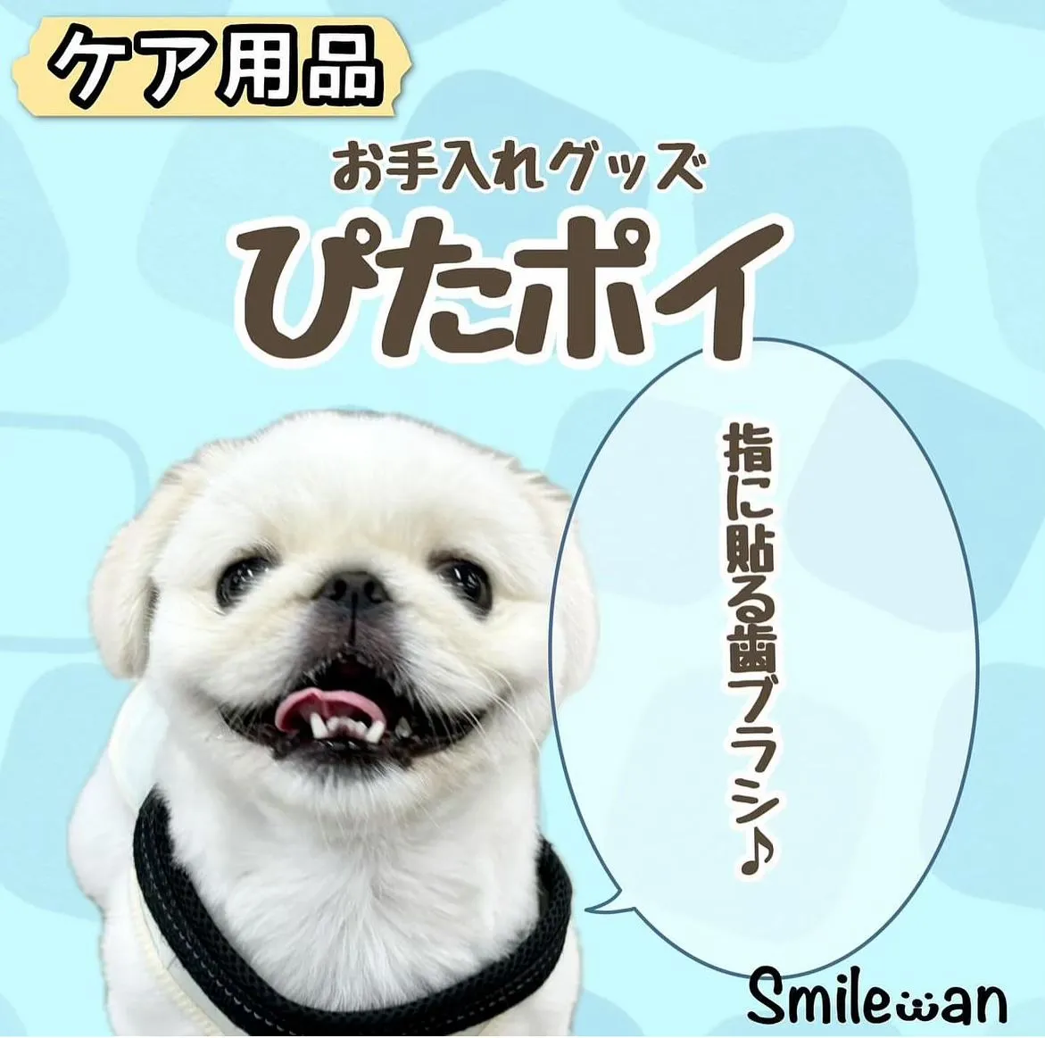 歯磨きが苦手なわんこに🐶