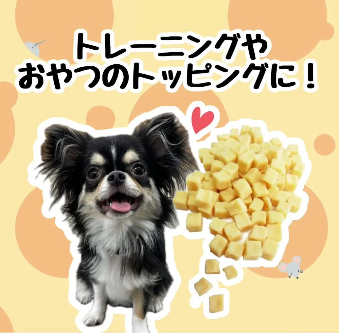 わんこのおやつ🐶