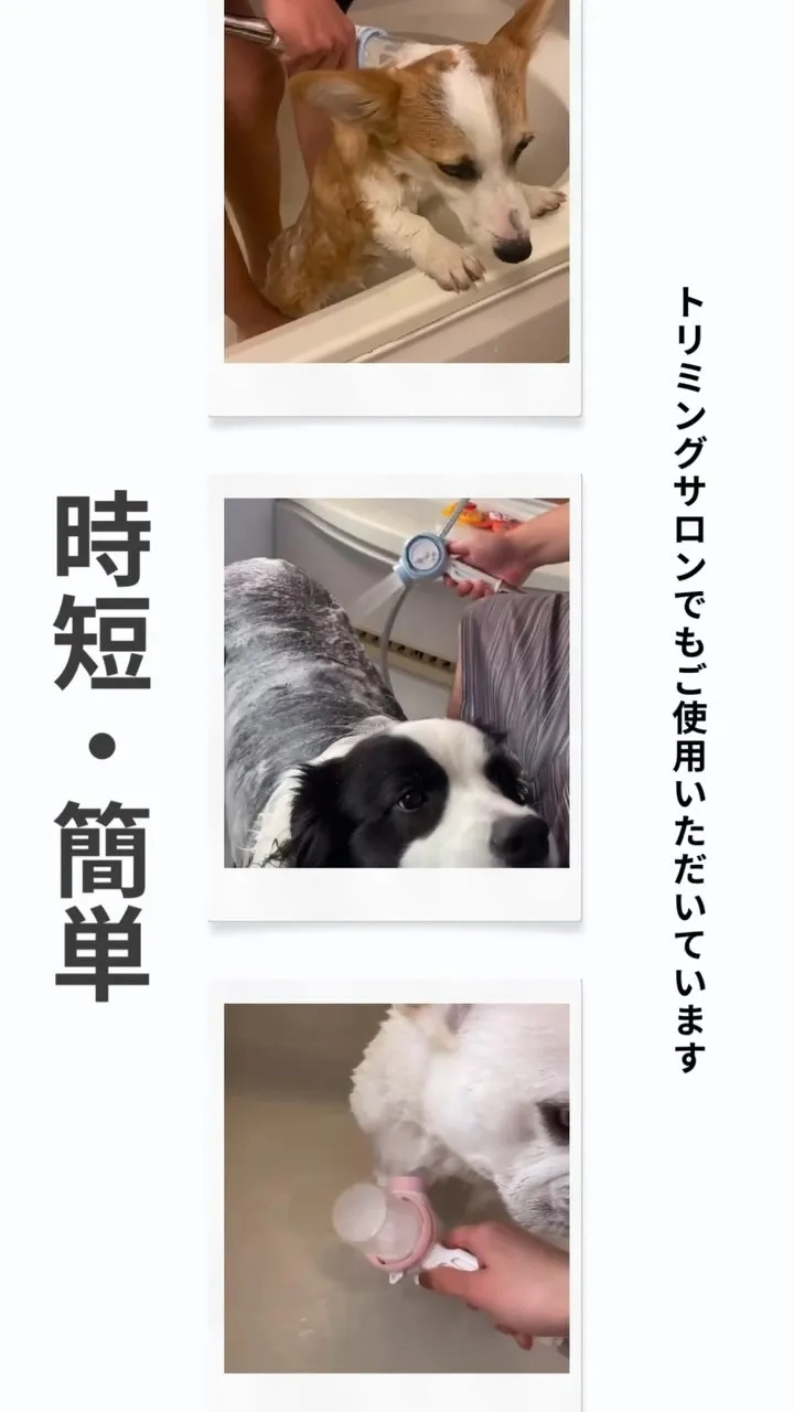 【犬のお風呂グッズ】